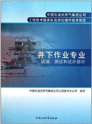 中國石油天然氣集團公司工程技術服務隊伍崗位操作技術規劃 構建卓越服務體系，保障能源安全